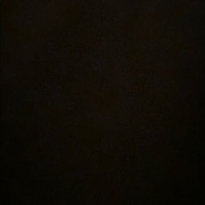 Meet your Posher, Donovan